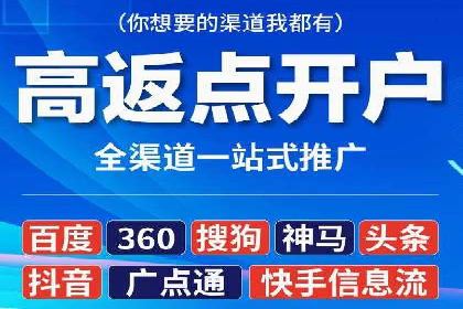 实战技巧：竞价推广案例解析与优化策略